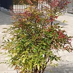 B&B Giravento 보르고 산 달마쪼