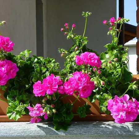 Giravento Borgo San Dalmazzo