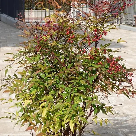 Nocleg ze śniadaniem Giravento Borgo San Dalmazzo